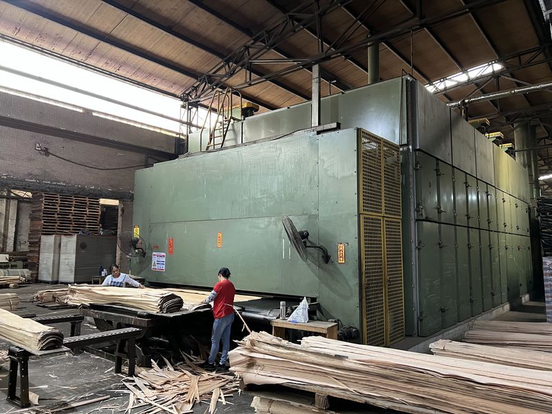 Dongguan Lingfeng Wood Industry Co., Ltd. প্রস্তুতকারকের উৎপাদন লাইন