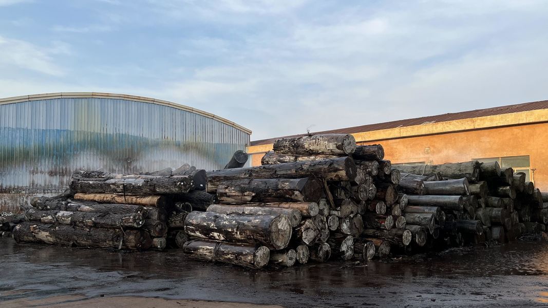 Dongguan Lingfeng Wood Industry Co., Ltd. প্রস্তুতকারকের উৎপাদন লাইন