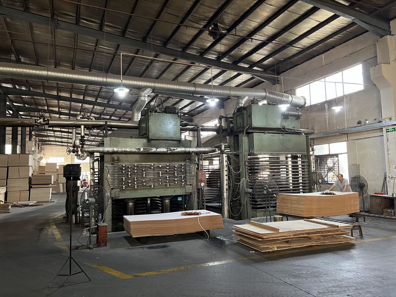 Dongguan Lingfeng Wood Industry Co., Ltd. প্রস্তুতকারকের উৎপাদন লাইন