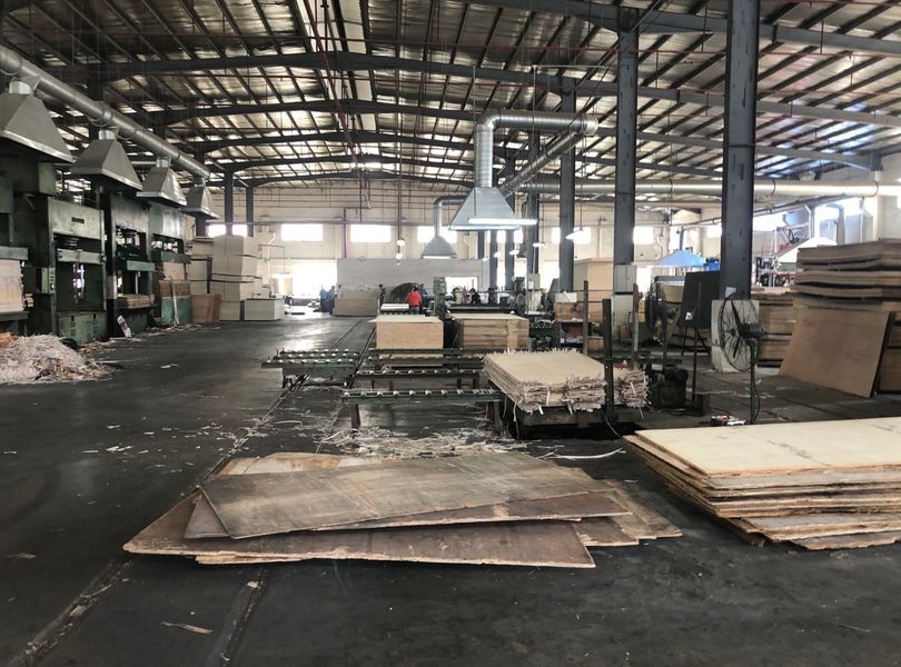 Dongguan Lingfeng Wood Industry Co., Ltd. প্রস্তুতকারকের উৎপাদন লাইন