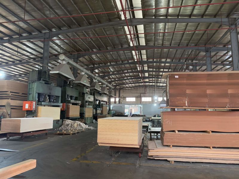Dongguan Lingfeng Wood Industry Co., Ltd. প্রস্তুতকারকের উৎপাদন লাইন