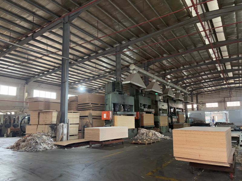 Dongguan Lingfeng Wood Industry Co., Ltd. প্রস্তুতকারকের উৎপাদন লাইন