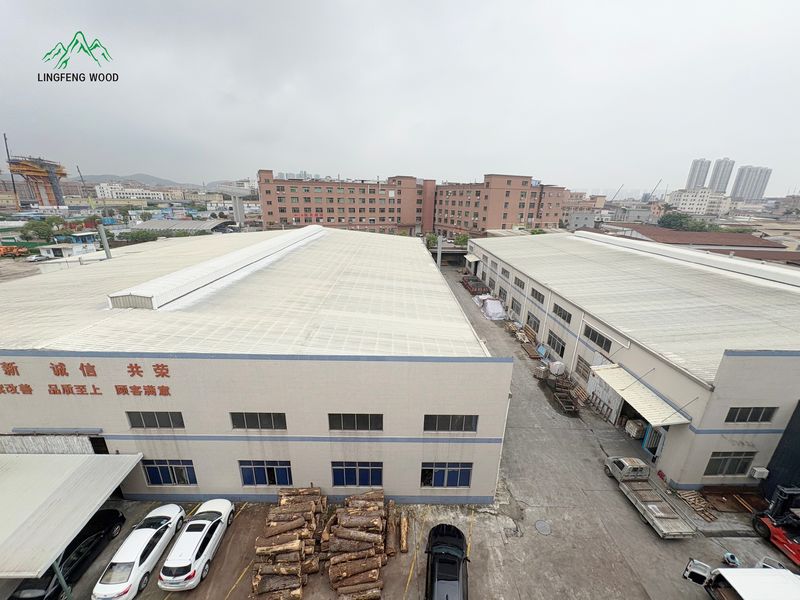 Dongguan Lingfeng Wood Industry Co., Ltd. প্রস্তুতকারকের উৎপাদন লাইন