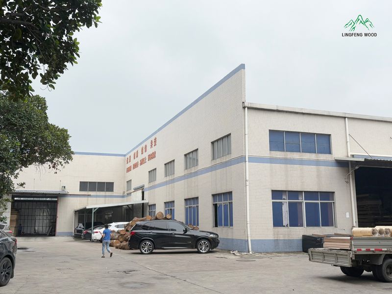 Dongguan Lingfeng Wood Industry Co., Ltd. প্রস্তুতকারকের উৎপাদন লাইন